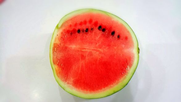 9月2日（水）今日の1コマ