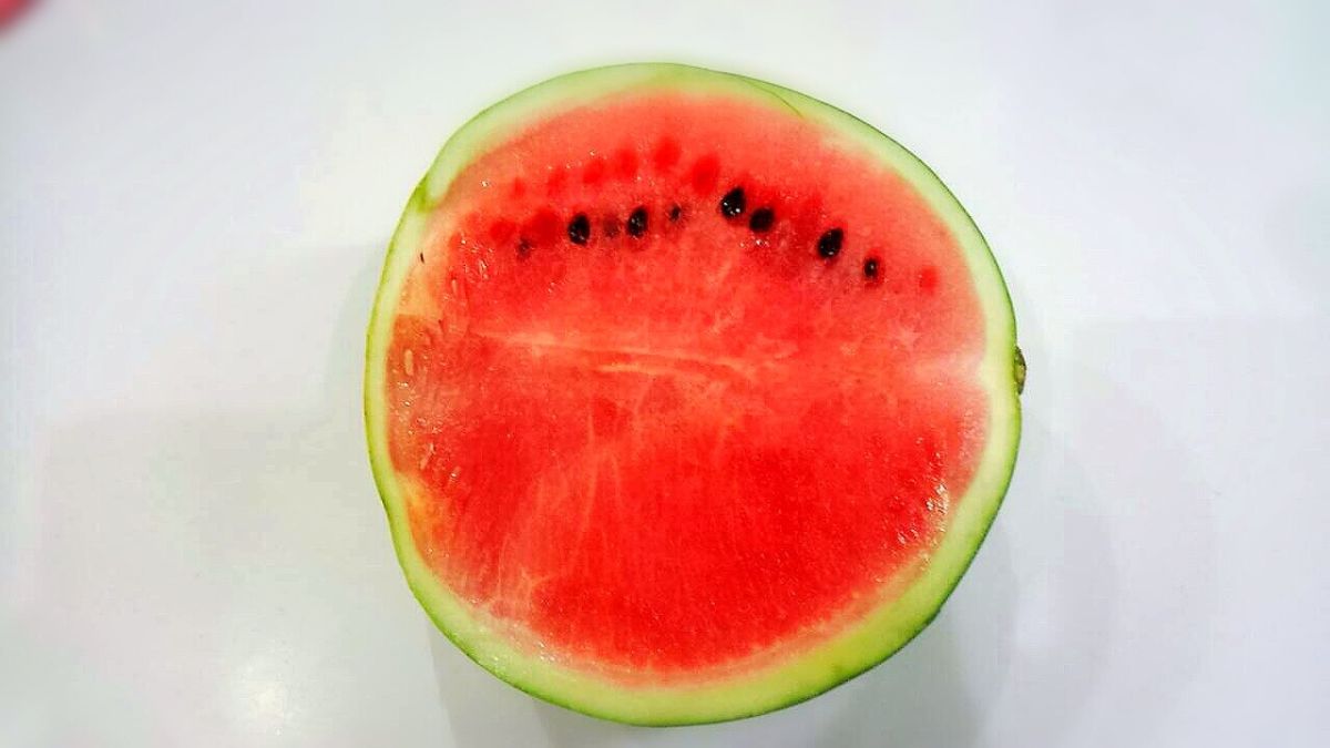 9月2日（水）今日の1コマ