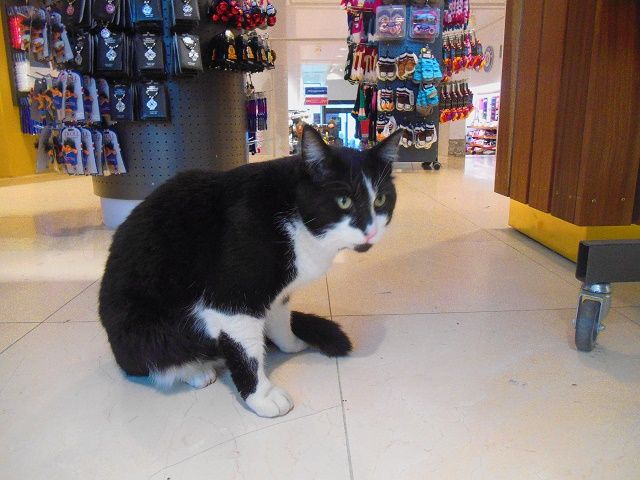 「Dream Planet～oumiのぐるーりとジャーニー」vol.10