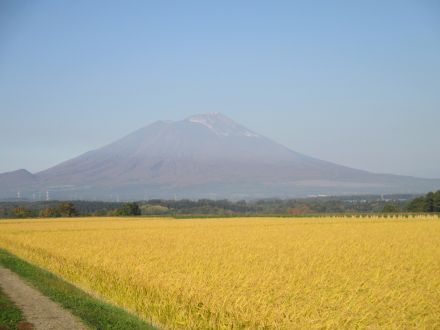 厳選！岩手の極上牧場巡り！