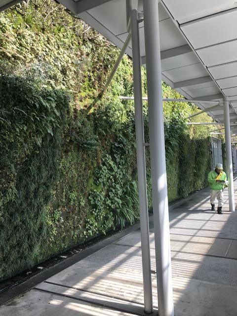 CITY GIRLS MUSIC #81《山口県に行ってきました！》