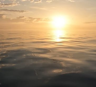 斎藤リョーツのいただき！なぎ！