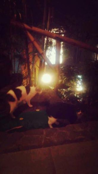 11月24日（木）今日の1コマ