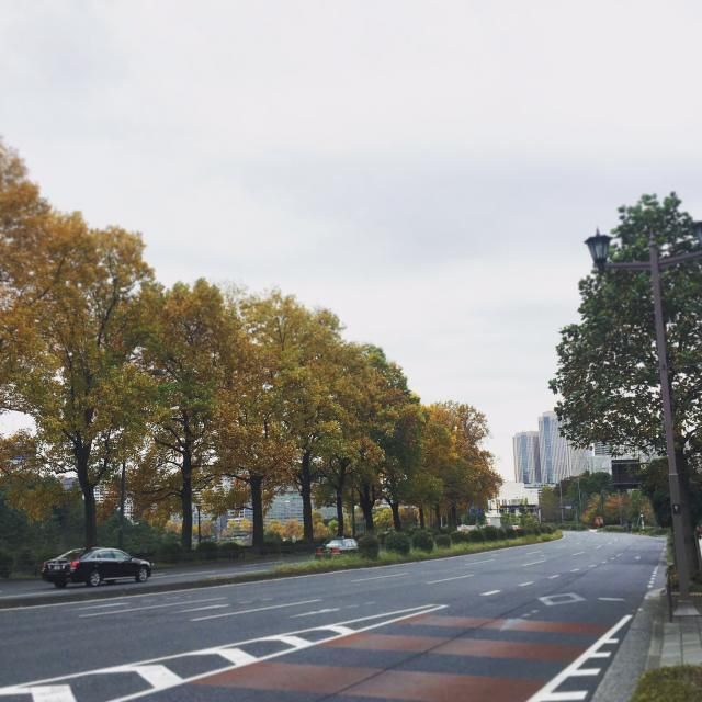 11月16日（水）simple style