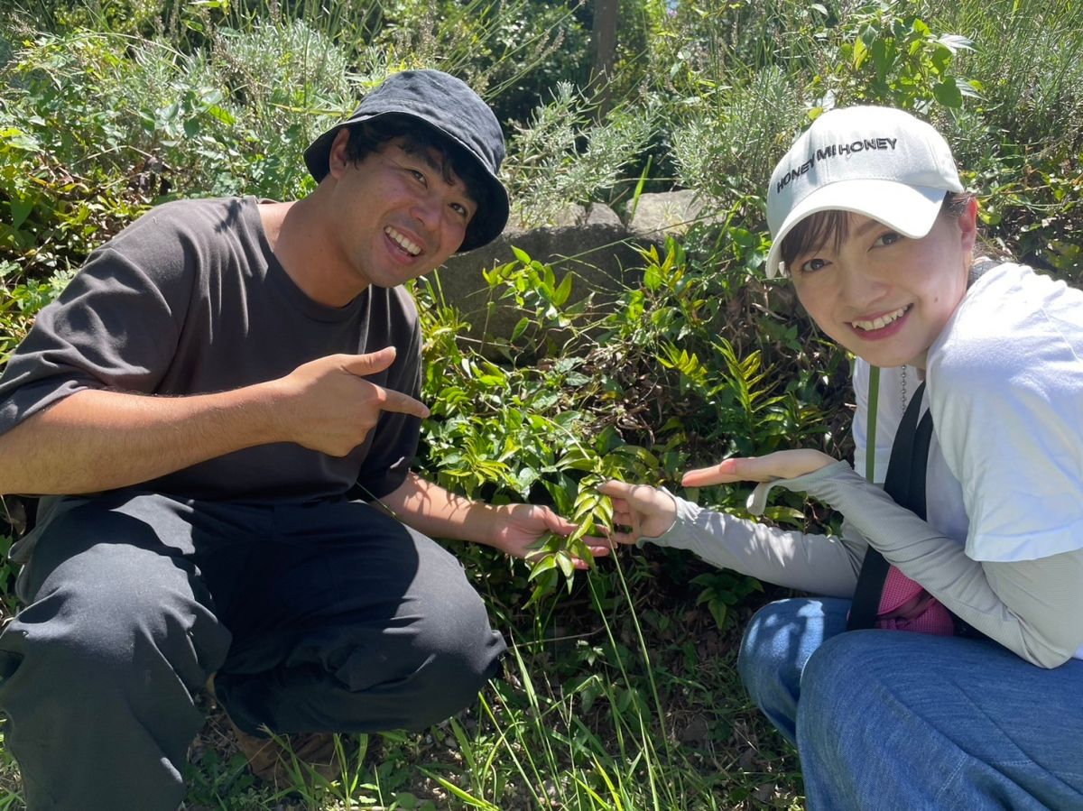 【＃２２　ドクトル西野の植物まみれ！ in　きみつのさんぽ道】～Sato Note