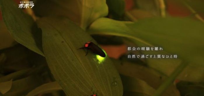 ユニークな自然体験プログラム