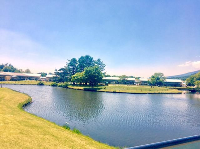 6月6日（水）今日の一コマ