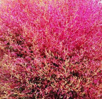 10月23日（金）今日の1コマ