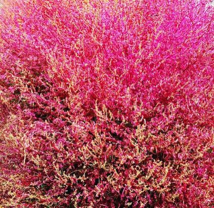 10月23日（金）今日の1コマ