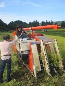 米どころ新潟　最高の一杯、一粒に出逢う旅