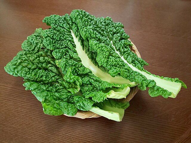 「めずらしい味のする葉っぱ」特集！京都府木津川市の「かつお菜」