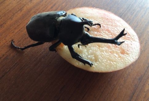 8月17日（月）今日の1コマ