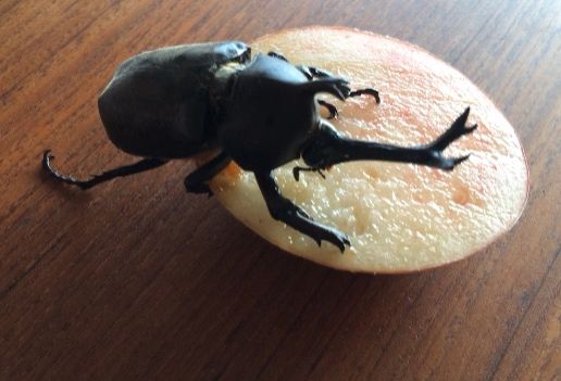 8月17日（月）今日の1コマ