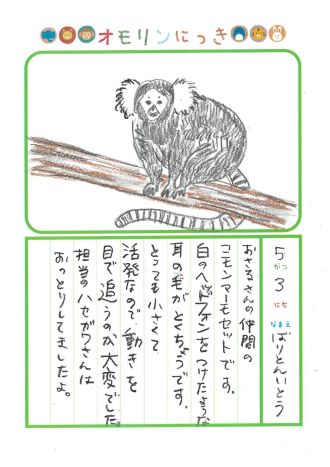2026年5月3日「コモンマーモセットさんをみできましたよ」