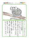 2026年5月3日「コモンマーモセットさんをみできましたよ」