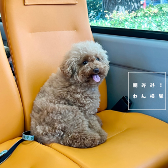 朝みみ！探（わん）検隊 バス旅part２＆THE DOGからプレゼントのお知らせ♡