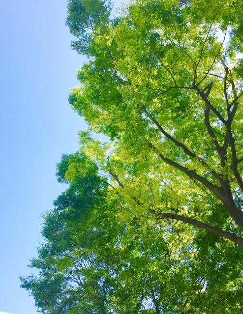5月2日（水）今日の一コマ