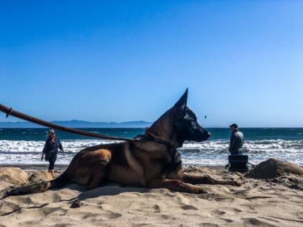 6月9日（水）宮原さんのLAレポート！