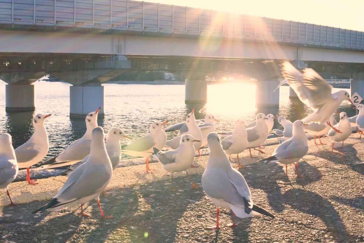 南田裕介 presents～インスタ映えする鉄道旅 "天竜浜名湖鉄道" ～