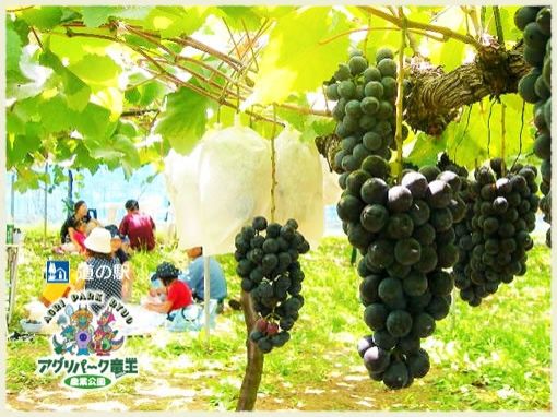 道の駅　アグリパーク竜王