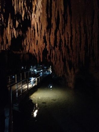 10月15日（水）今日の1コマ
