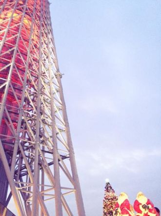 11月17日（木）今日の1コマ