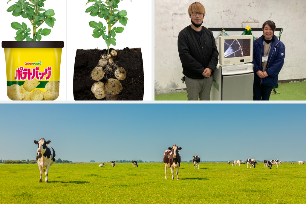 女子高専生が脱脂粉乳から作ったヴィーガンレザー / カラオケを通じて復興支援 / カルビーが開発！ジャガイモを簡単に栽培する『ポテトバッグ』