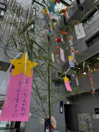 お宝ファイルNO.133 七夕めぐりプロジェクト