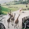 ＃125 動物園