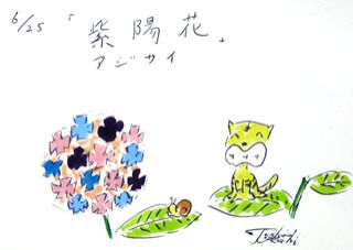 6月２５日（火）デイリーフライヤー