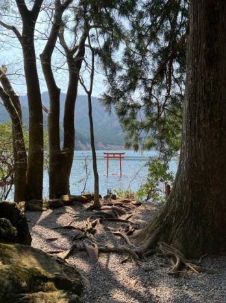 藤井悠のいただき！箱根！