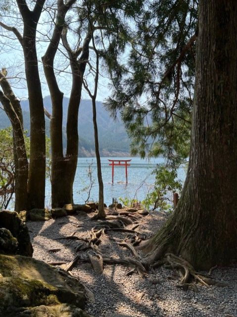 藤井悠のいただき！箱根！