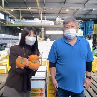 特別に潜入!! 岐阜が誇る富有柿の選果場へ 【CITROEN C5 X】（岐阜県本巣市・大熊青果、マル席の富有柿①）