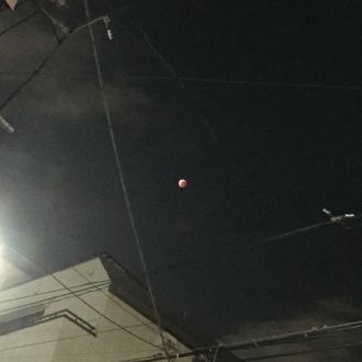 藤井悠のいただき！みんな見た！？