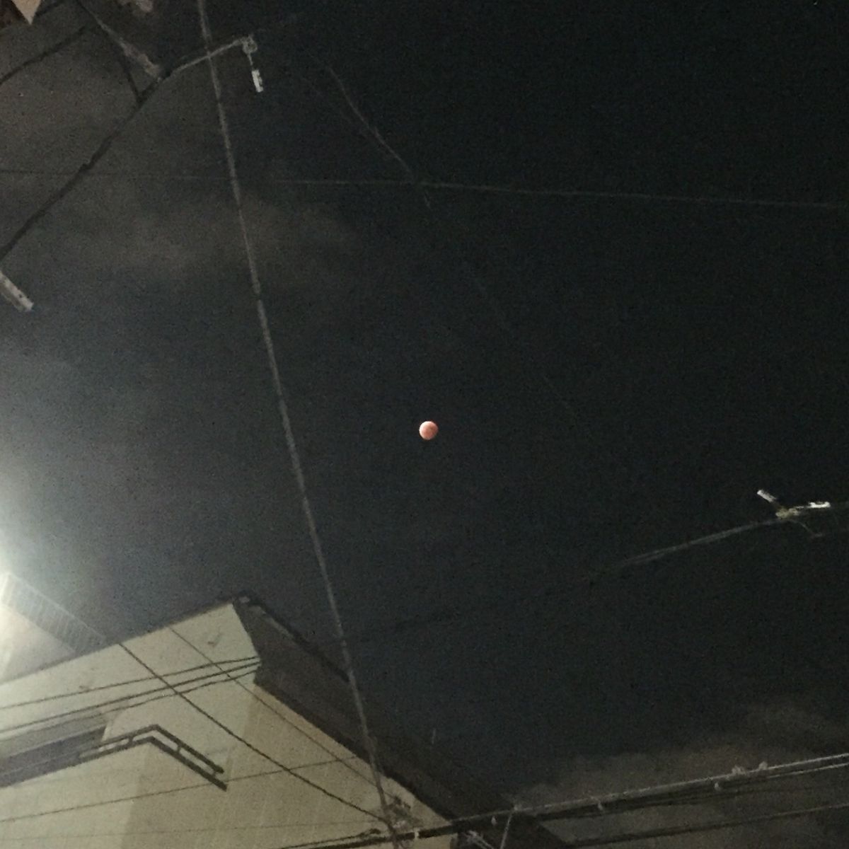 藤井悠のいただき！みんな見た！？