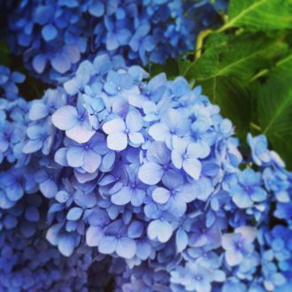 藤井悠のいただき！なんじゃあこりゃあー！