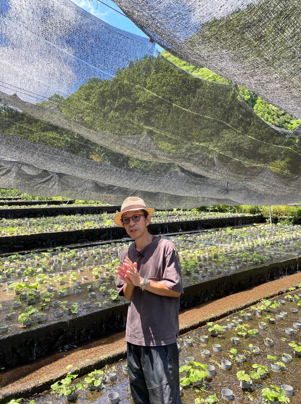 ラジオドラマ【Dear Japan～都留・わさびと湧き水～第1話】