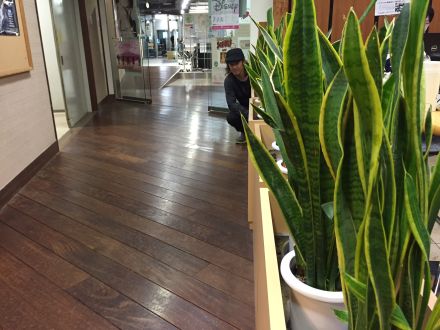 2015年11月25日（水）テンションが上がった給食はなに？