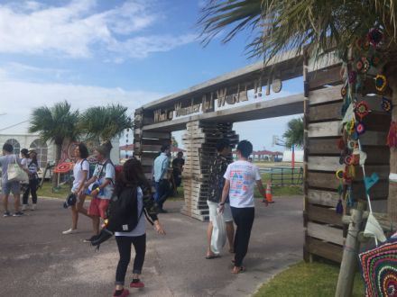 今週のwww!!は・・・