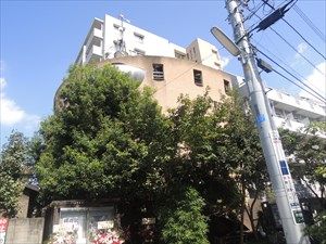 東京発どこ行くツアー　 エンタメタウン阿佐ヶ谷