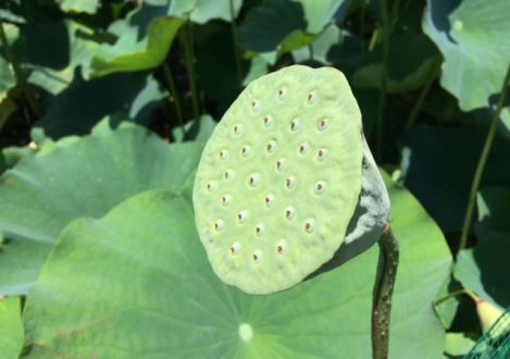 8月9日（火）今日の1コマ