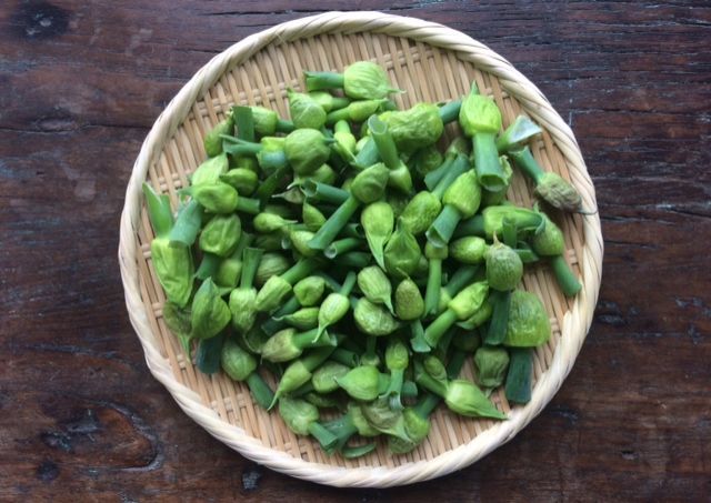 4月11日（月）今日の1コマ