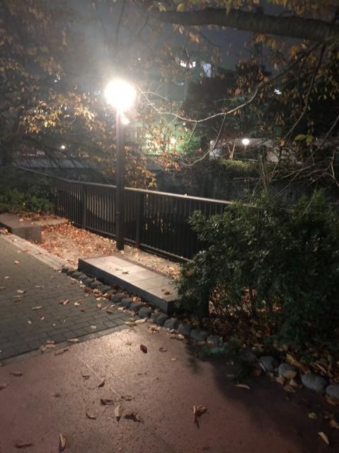 11月27日（火）今日の1コマ♪