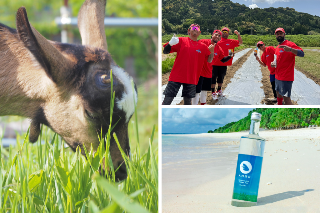 ヤギによる除草サービス「草刈りヤギちゃん」 / 多国籍野球チームが地域課題を解決 / 建設会社が発売するラム酒