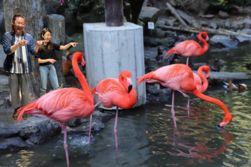 2023年6月13日（火）放送終了