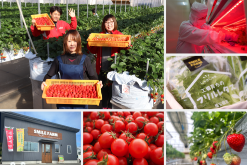 今週の『深掘り』ケーブルテレビ会社が作る新鮮で安心な野菜（埼玉）