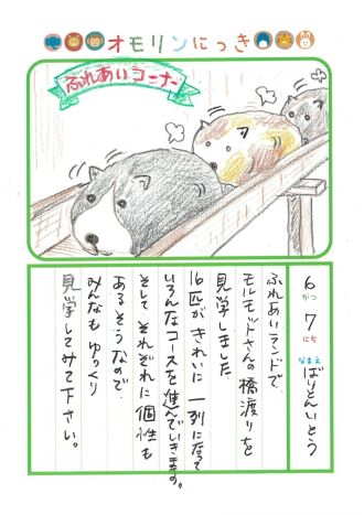 2026年6月7日「モルモットさんをみできましたよ」