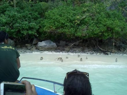 3月22日（木）今日の1コマ