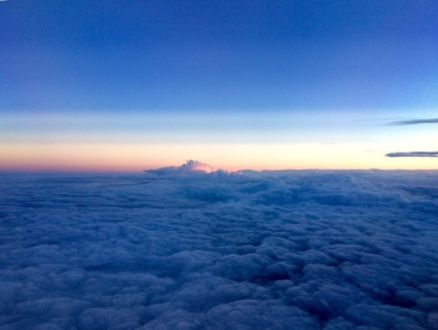 11月17日（火）今日の1コマ