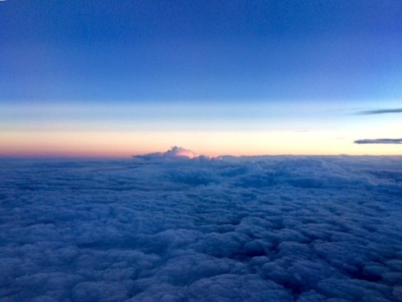 11月17日（火）今日の1コマ